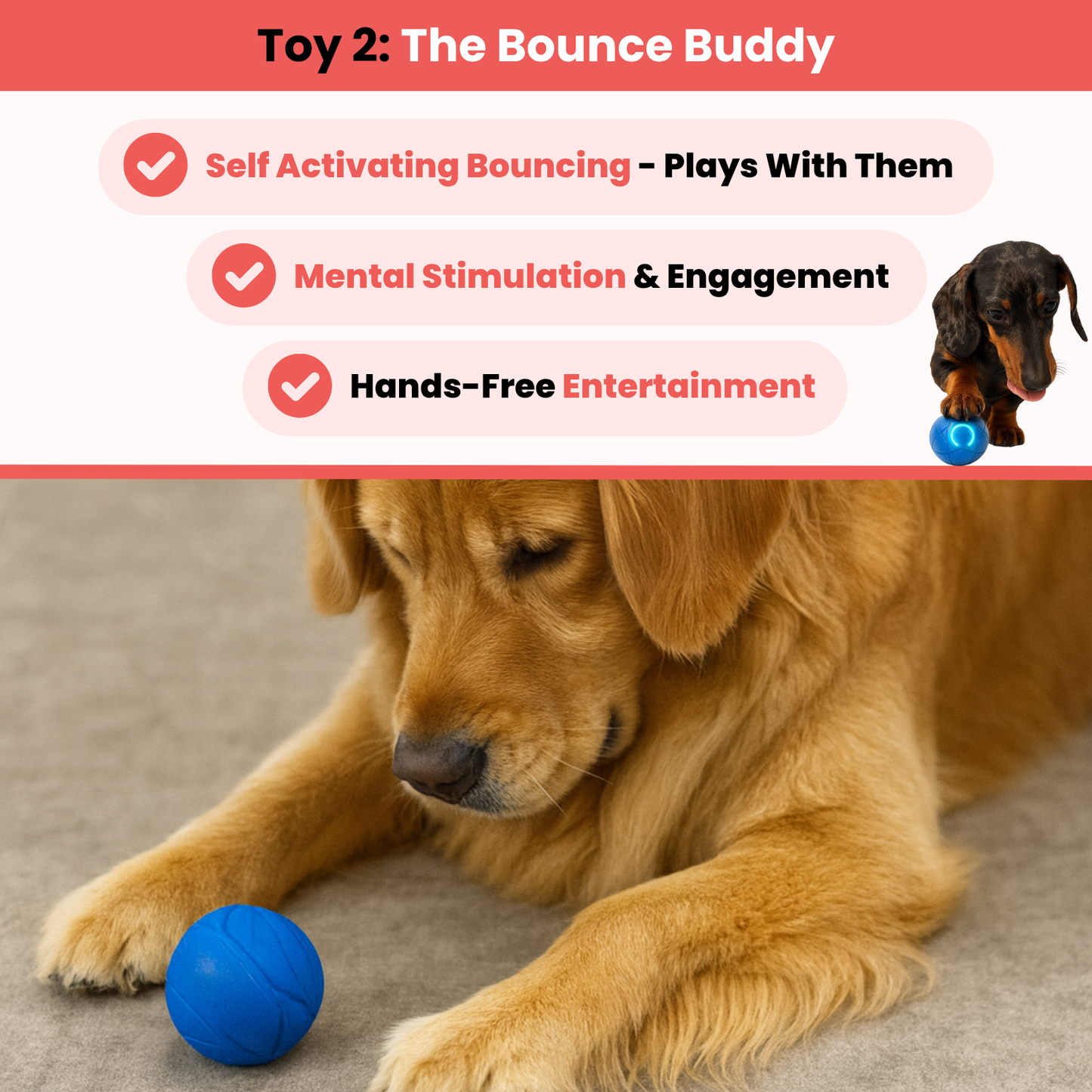 TinyFetch™ Ultimate Stimulation Bundle