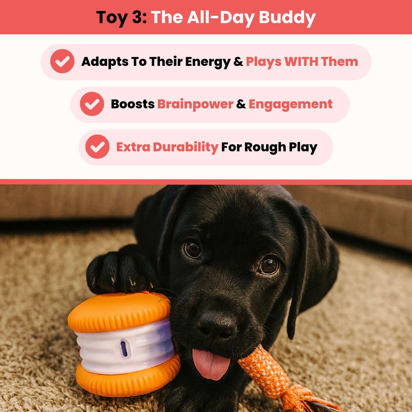 TinyFetch™ Ultimate Stimulation Bundle