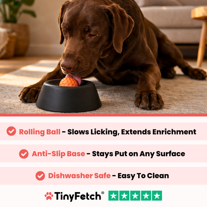 TinyFetch™ CalmFeeder