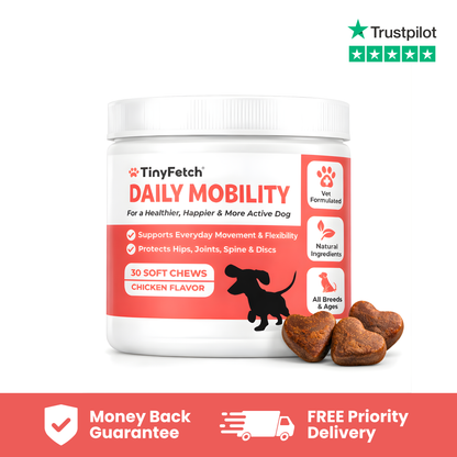 Daily Mobility Chews