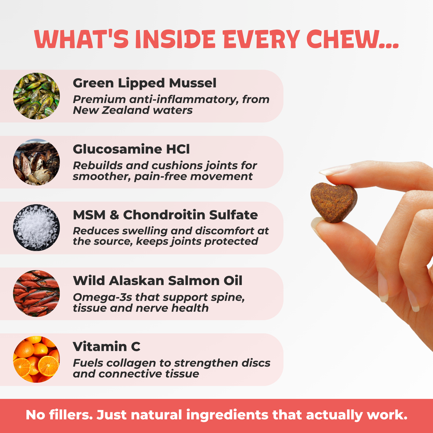 Daily Mobility Chews