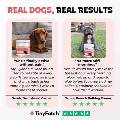 Daily Mobility Chews