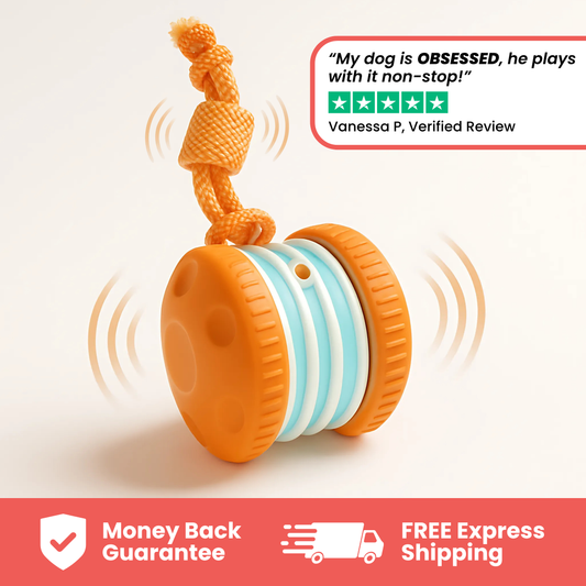 TinyFetch™ All-Day Buddy