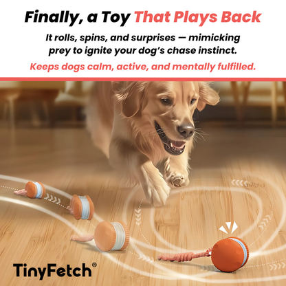 TinyFetch™ All-Day Buddy