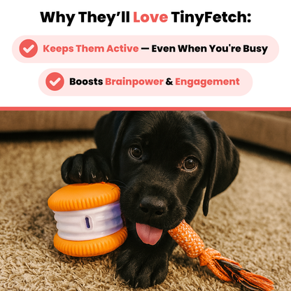 TinyFetch™ All-Day Buddy