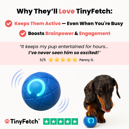 TinyFetch™ Bounce Buddy