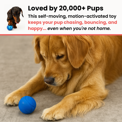 TinyFetch™ Bounce Buddy