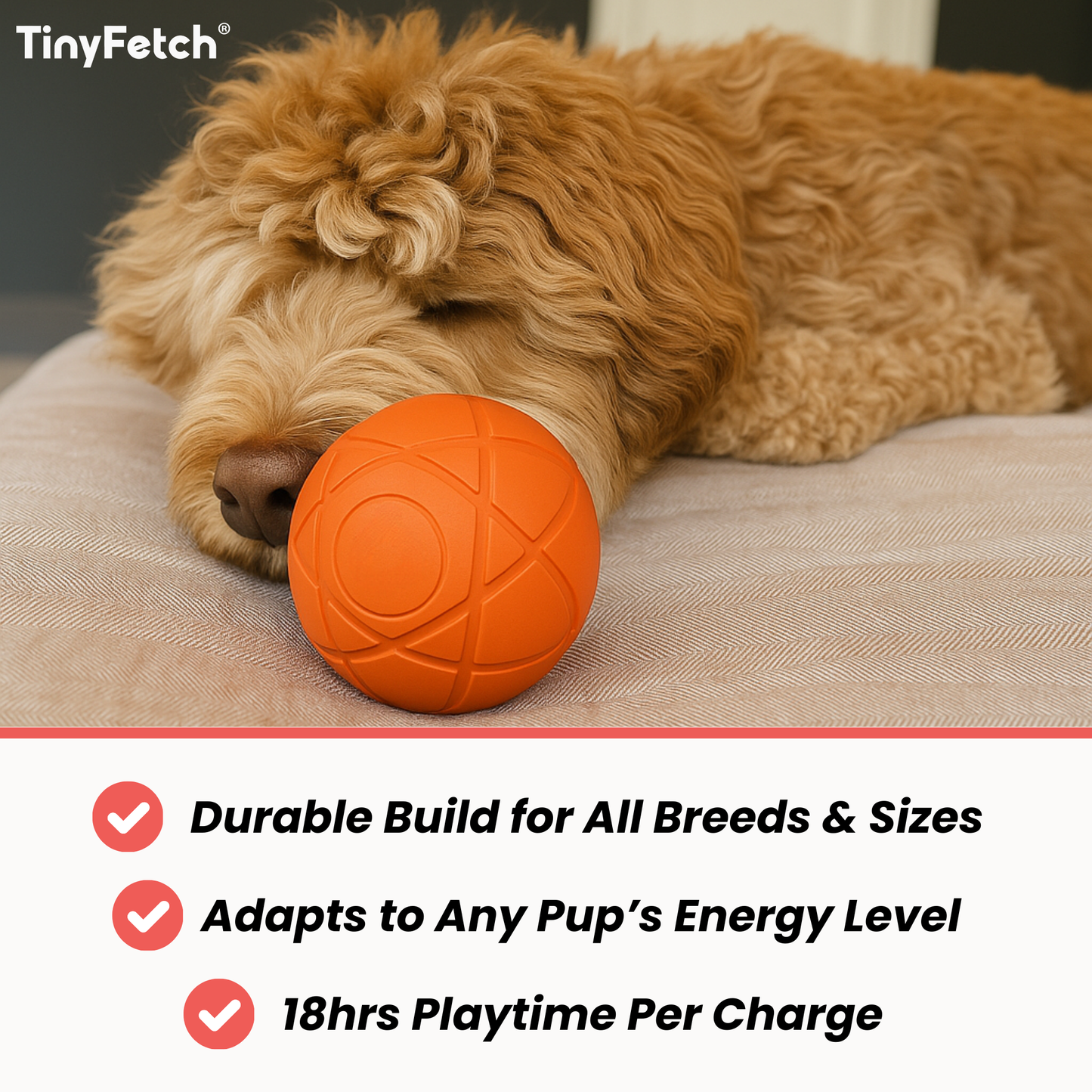 TinyFetch™ Bounce Buddy