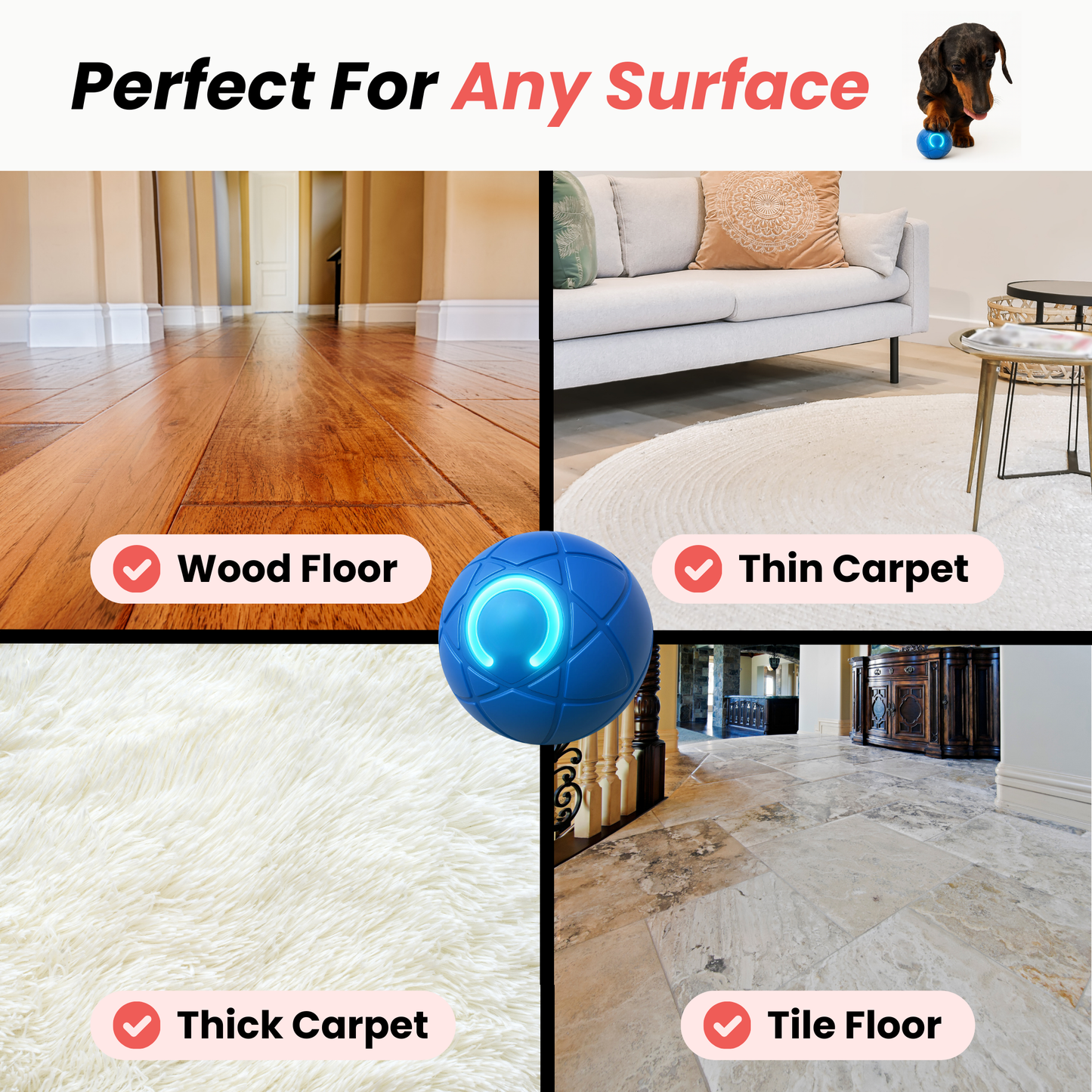 TinyFetch™ Bounce Buddy