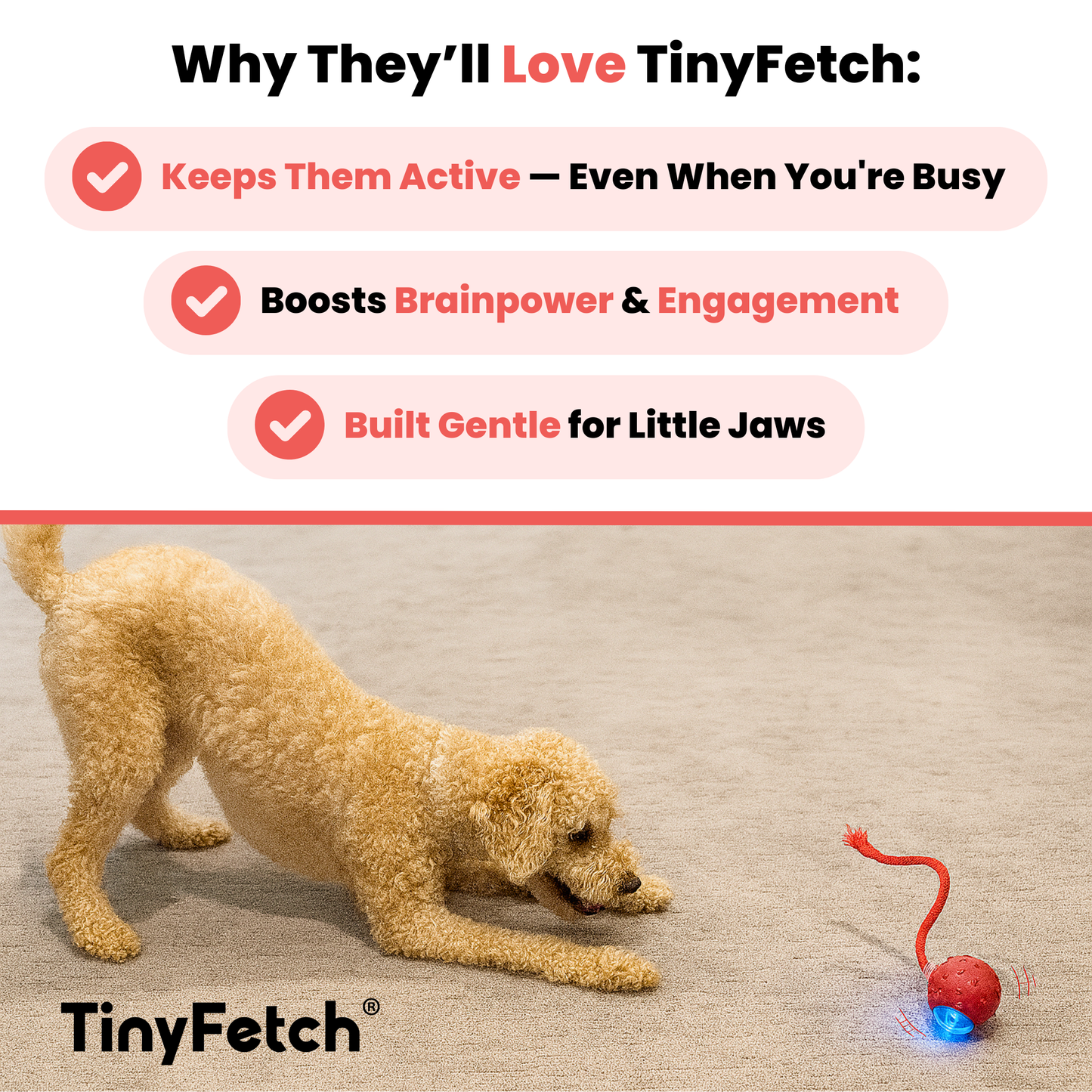 TinyFetch™