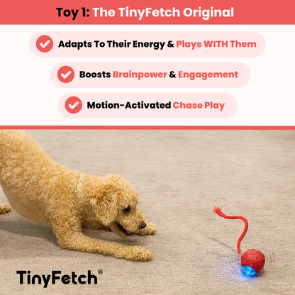 TinyFetch™ Ultimate Stimulation Bundle
