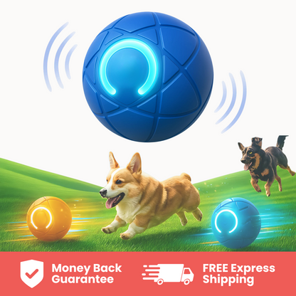 TinyFetch™ Bounce Buddy