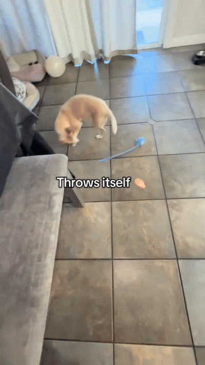 Smart ball creating active chase play